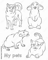 Image result for Pet Rat Drawing