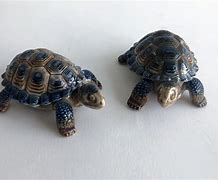 Image result for 2 Turtles Turtle House