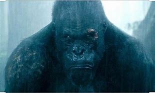 Image result for Tarzan Little Gorilla