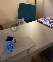 Image result for DIY Cat Furniture