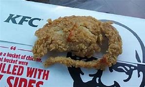 Image result for Kentucky Fried Cat