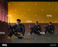 Image result for Silat