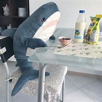 Image result for Plushdela Sharkie