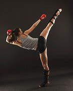 Image result for Kickboxing Pole