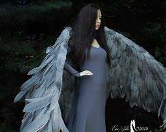 Image result for Angel Character Concept Shadow Wings