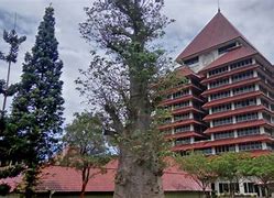 Image result for Univ Indonesia