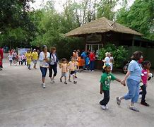 Image result for Zoo Field Trip