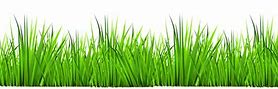 Image result for Baby Grass Clip Art