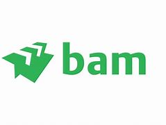 Image result for Bam Entertainment Logo.png