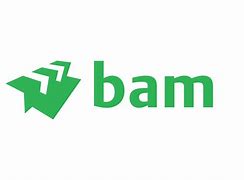 Image result for Bam Building Logo