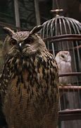 Image result for Oger From Harry Potter