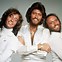 Image result for Bee Gees Merch