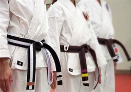 Image result for Tie Karate Belt