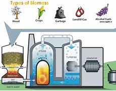 Image result for Picture of Biomass Energy Plant to Grid