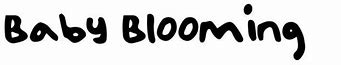 Image result for Baby in Bloom Font