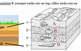 Image result for The Image Shows Sedimentary Rock Layers