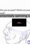 Image result for Horizontally Spinning Rat