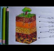 Image result for Soil Layers Drawing