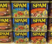 Image result for Flavoured Spam