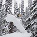 Image result for Powder Days Book