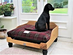 Image result for Specialty Dog Beds