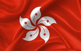 Image result for Hong Kong Balck Flag