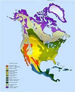 Image result for United States Vegetation Map