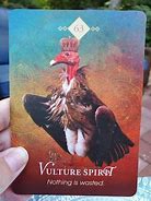 Image result for Vulture Spirit