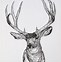 Image result for Mule Deer Stencil Drzw