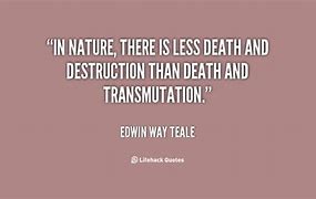 Image result for Who Is Edwin Way Teale