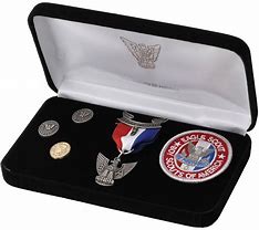 Image result for Girl Scout Eagle Awards