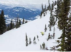 Image result for Bridger Bowl Ski Area