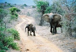 Image result for Fascinating Places in Kenya