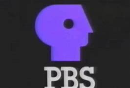 Image result for PBS Split Logo