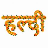 Image result for Haldi Vector Png