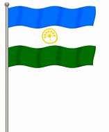 Image result for Bashkortostan Flag