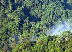 Image result for Hutan Konservasi