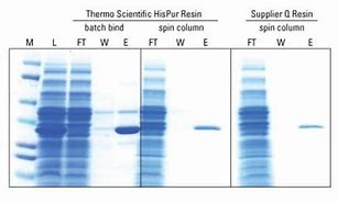 Image result for Ni-NTA Resin