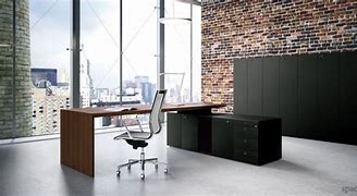 Image result for Executive Desk CEO