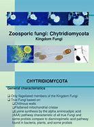 Image result for Chytridiomycota Fish Tank