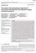 Image result for Atrioventricular Nodal Artery