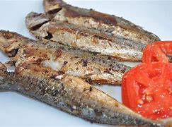 Image result for Galunggong Fish