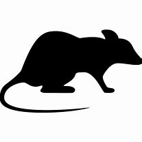 Image result for Money Rat SVG