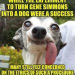 Image result for Dog Tongue Donut Meme