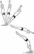 Image result for Springboard Diving Images