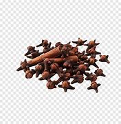 Image result for Elegant Cloves