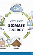 Image result for Picture of Biomass Energy Plant to Grid