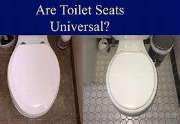 Image result for Toilet Seat Tabs