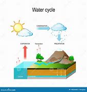 Image result for Water Cycle Illustration