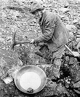 Image result for Old West Gold Miner